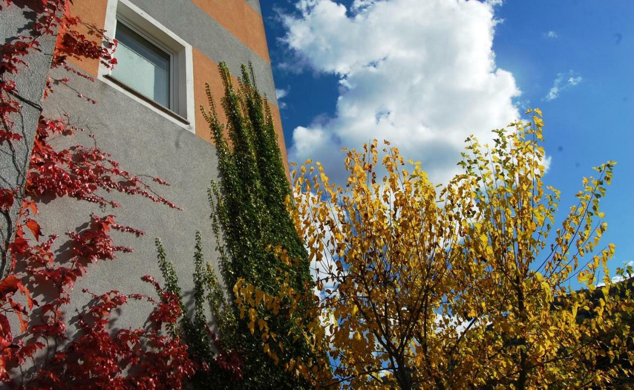Hisa Posebne Sorte Kodreti Exterior foto